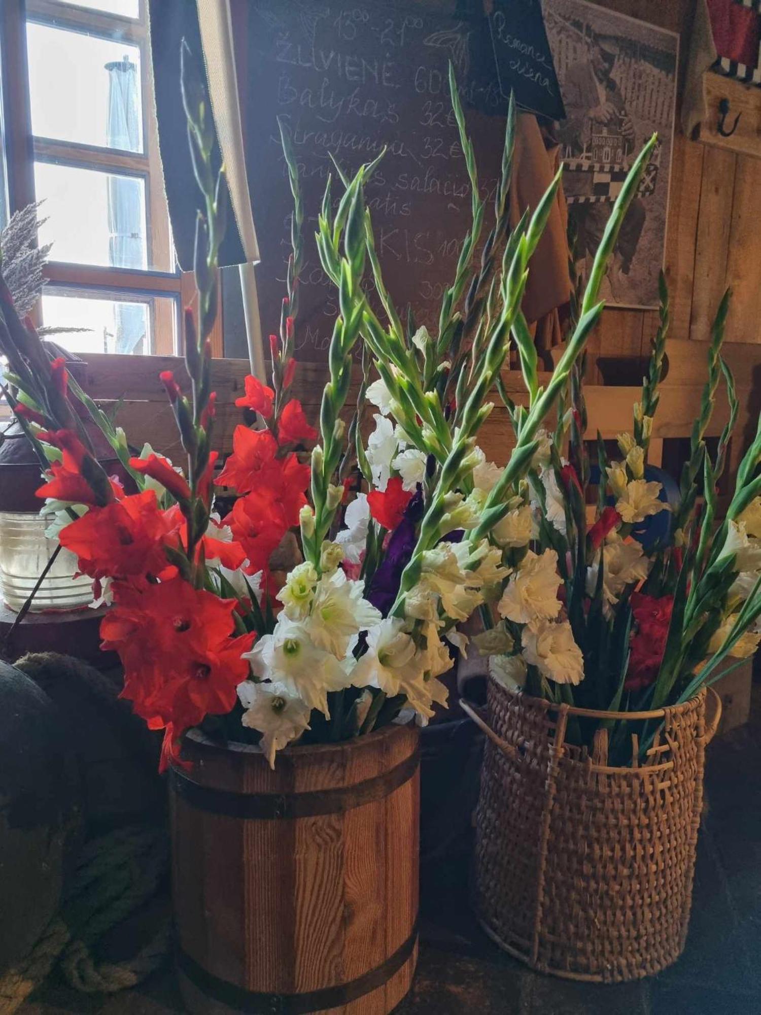 Sturmu Svyturys Bed & Breakfast Sturmai Luaran gambar