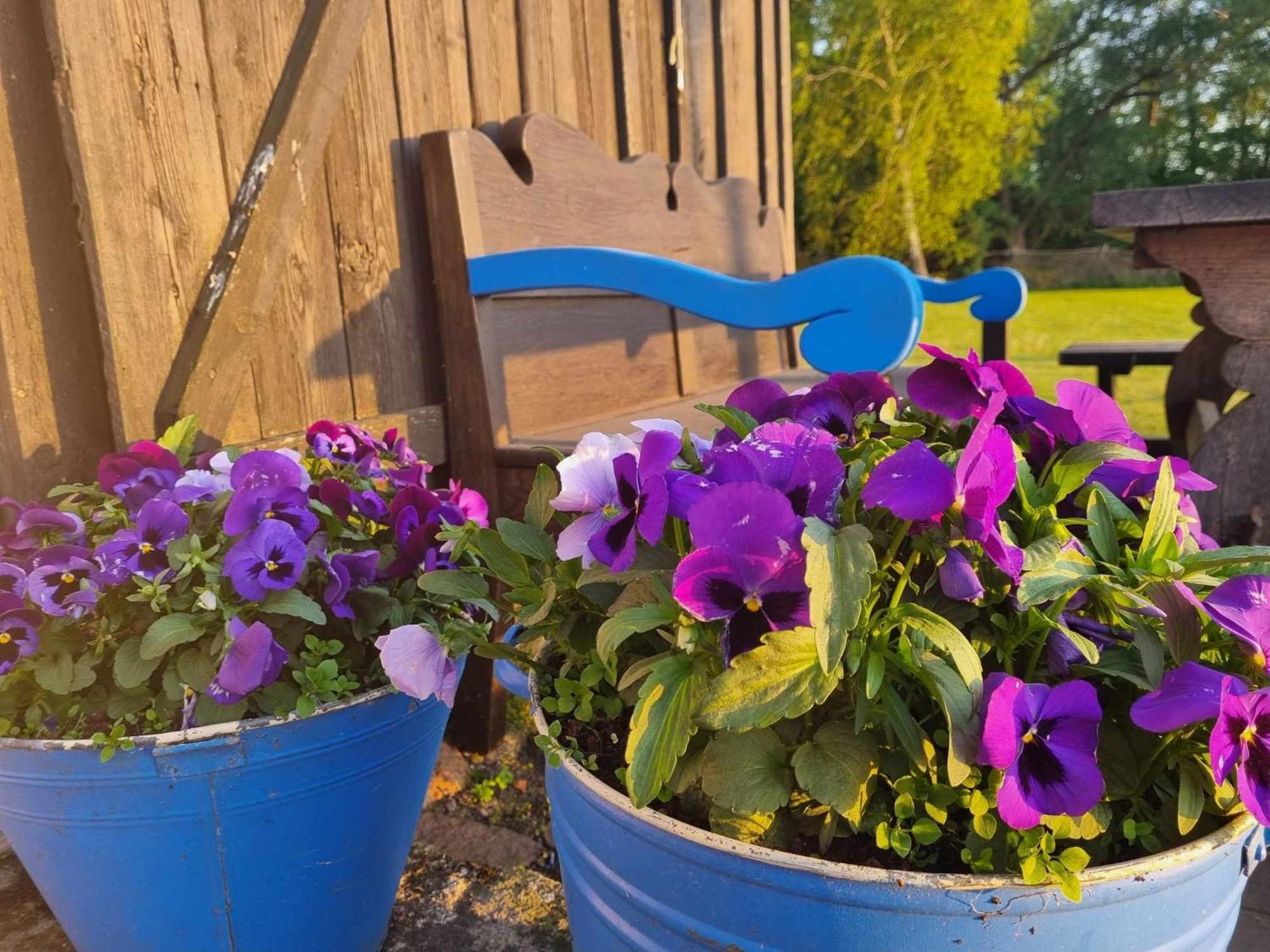 Sturmu Svyturys Bed & Breakfast Sturmai Luaran gambar